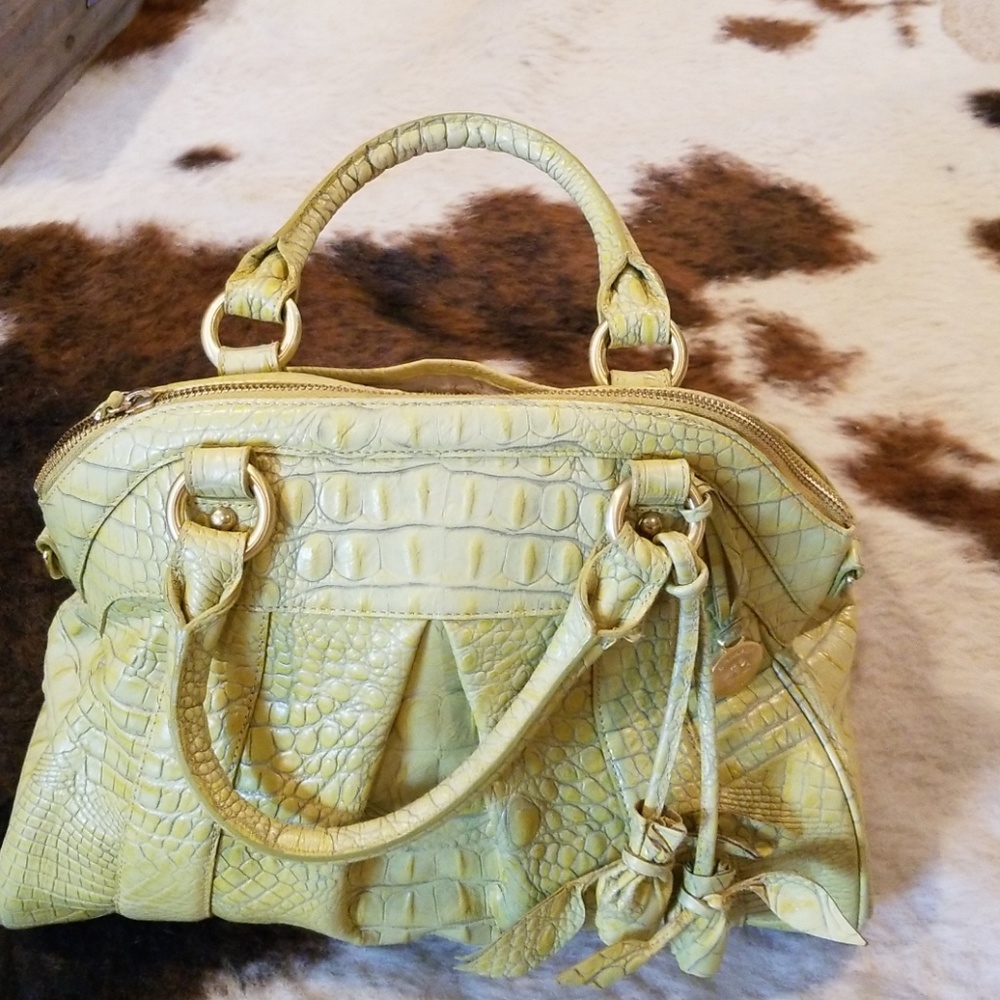Brahmin purse